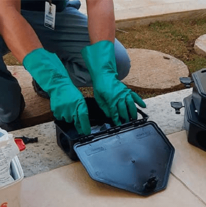 Dedetizadora em Mogi das cruzes