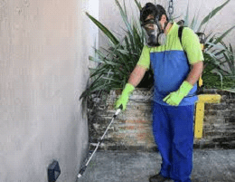 Dedetizadora em Mogi das cruzes