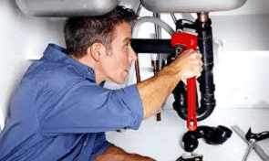 Encanador no Jardim Guedala