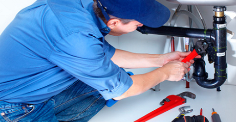 Encanador no Jardim Guedala